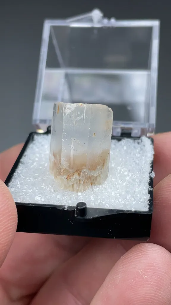 Beryl - image 2