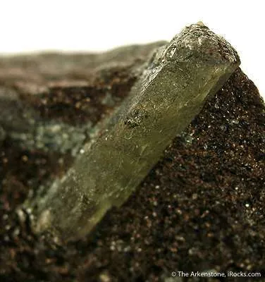 Beryl - image 4