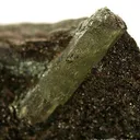 Beryl - image 4