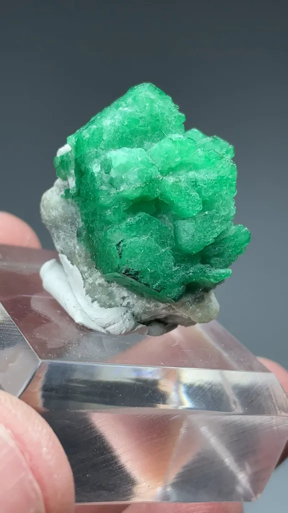 Beryl - image 2