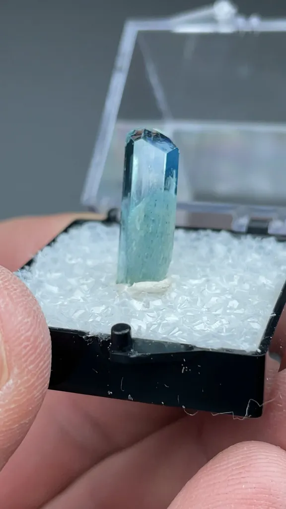 Beryl - image 2