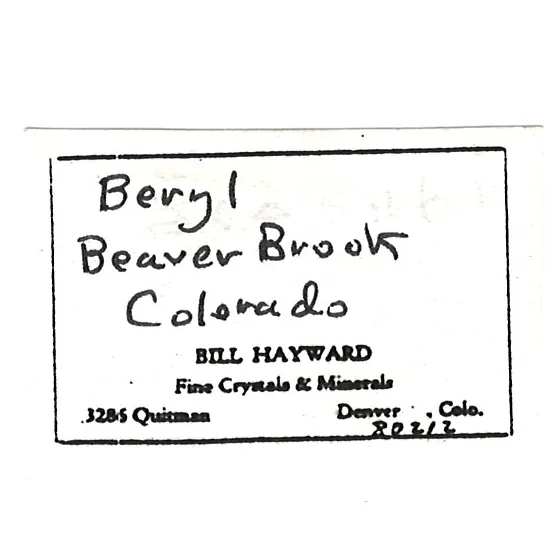 Beryl - image 5