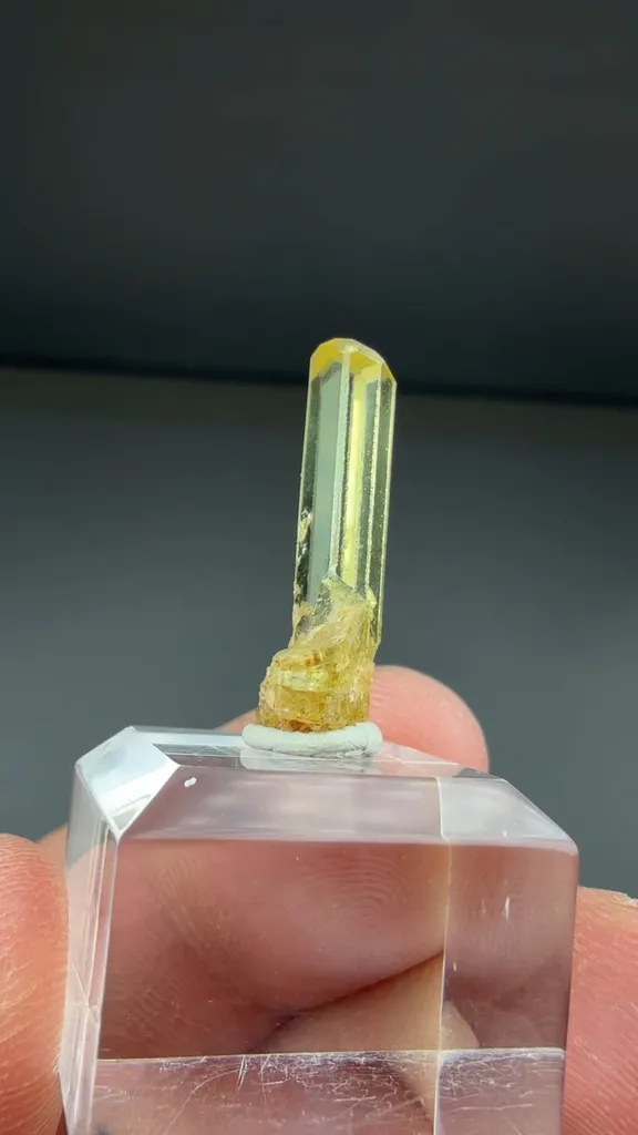 Beryl - image 2