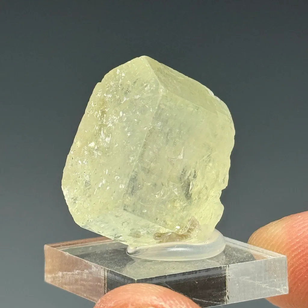 Beryl - image 2