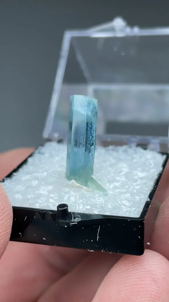 Beryl - image 2