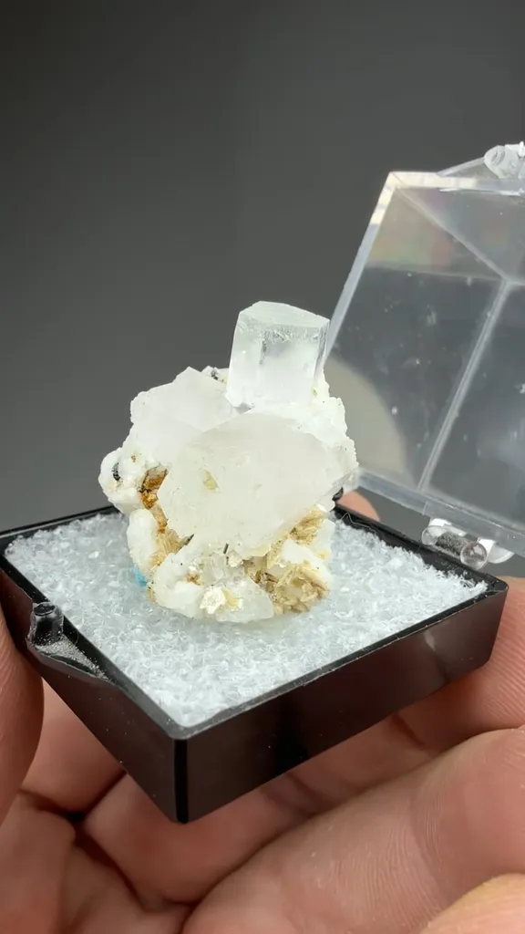 Beryl - image 2