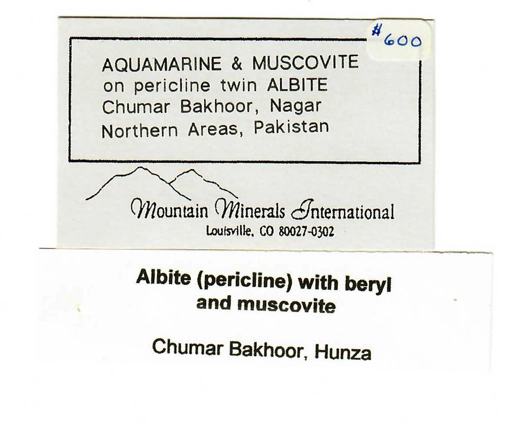 Beryl - image 7