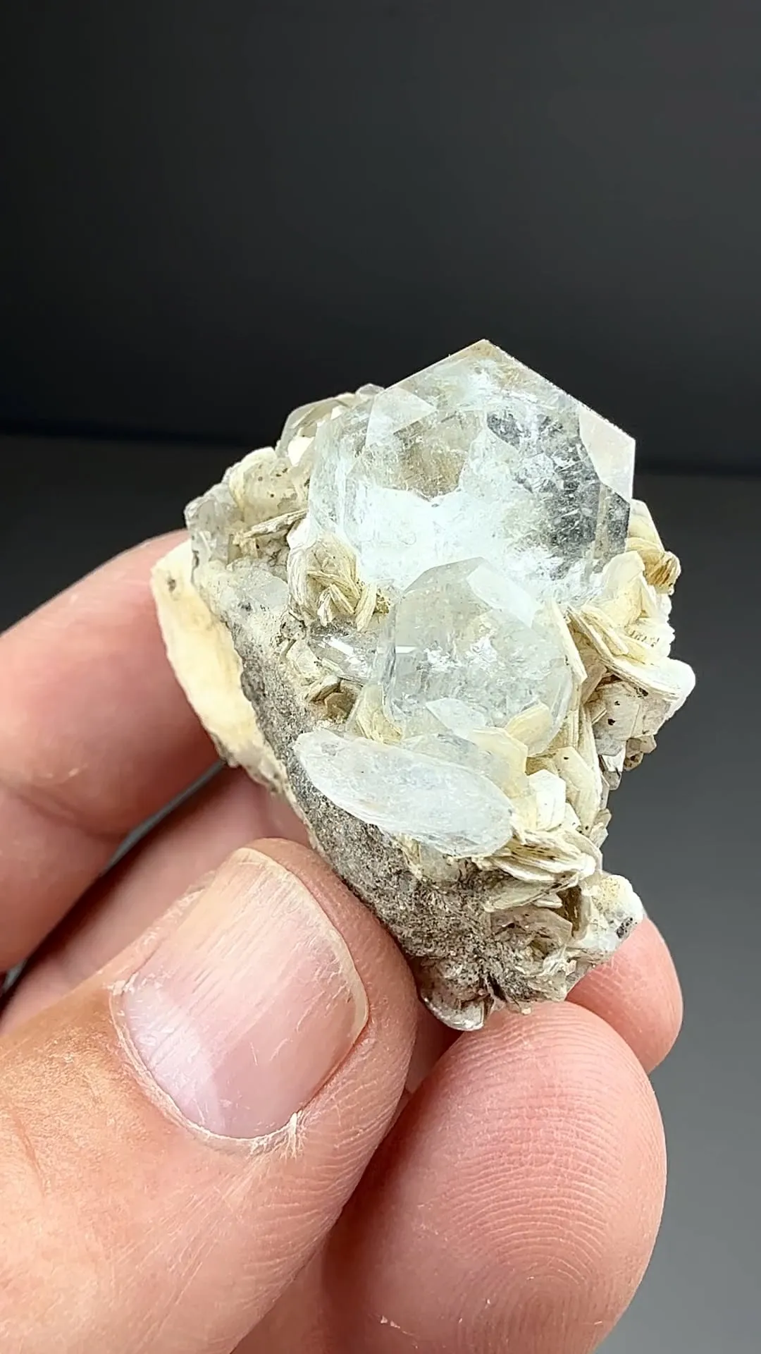 Beryl (711) - image 2