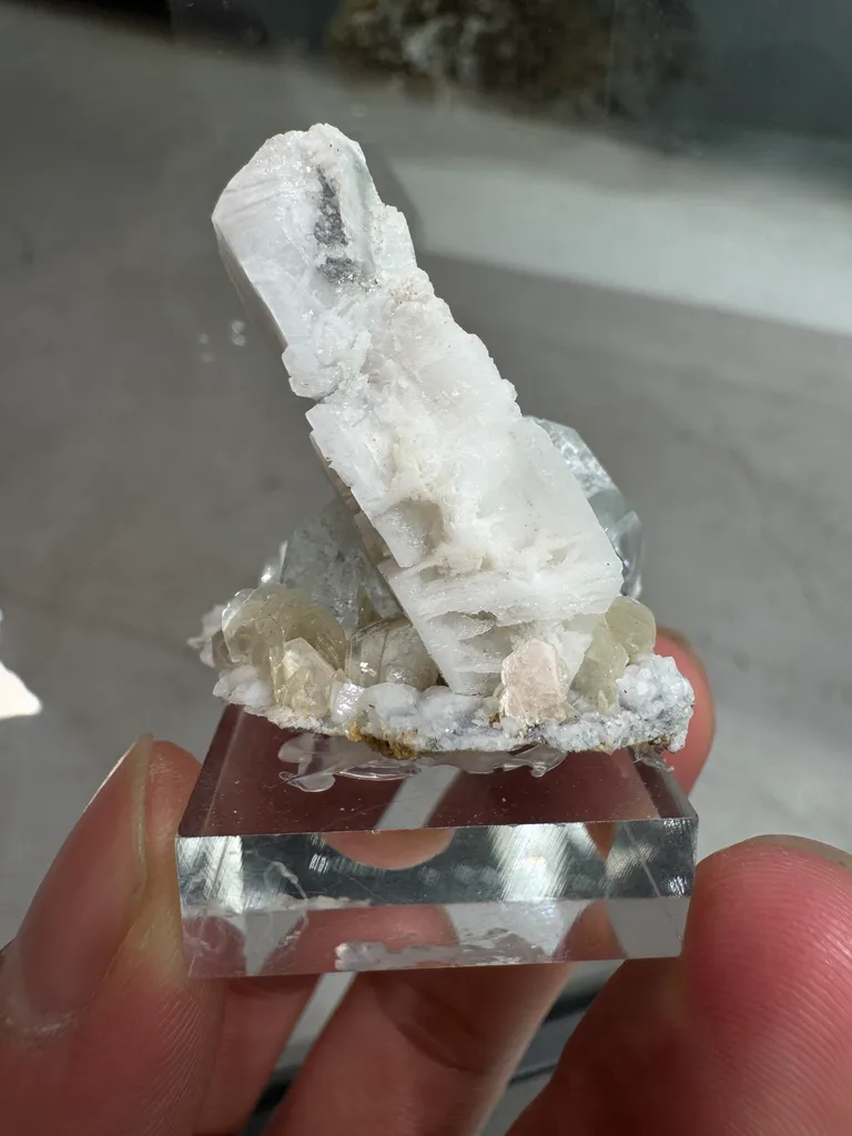 Beryl - image 5