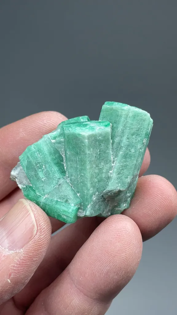 Beryl - image 2