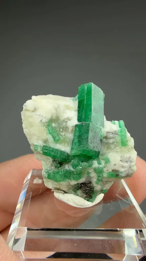 Beryl - image 2