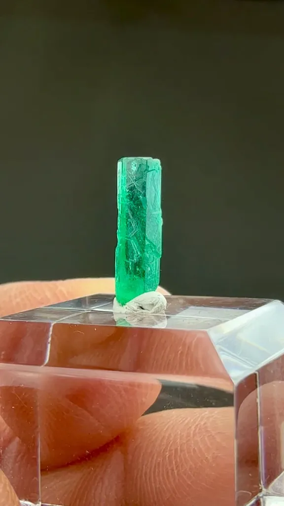 Beryl - image 2