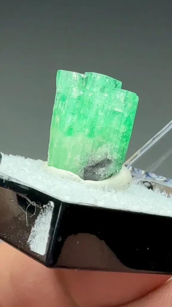Beryl - image 2
