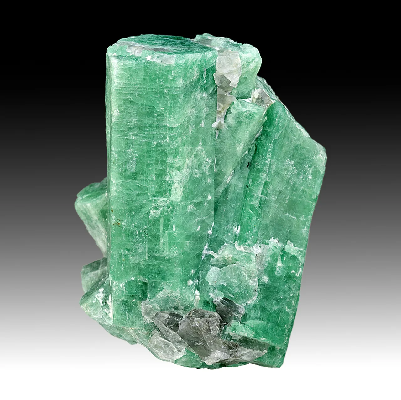 Beryl - image 1