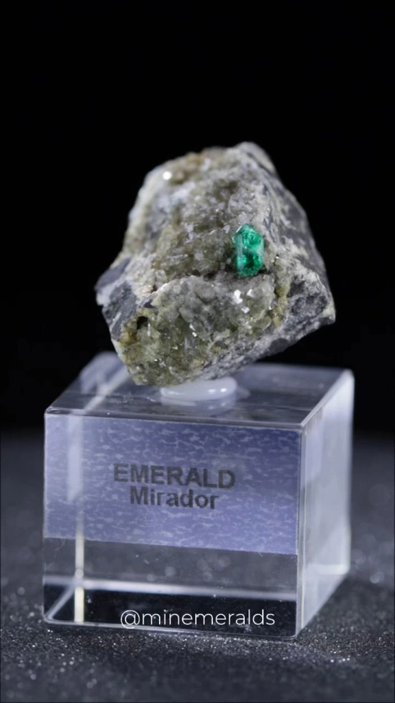 specimen video