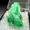 Beryl - image 1