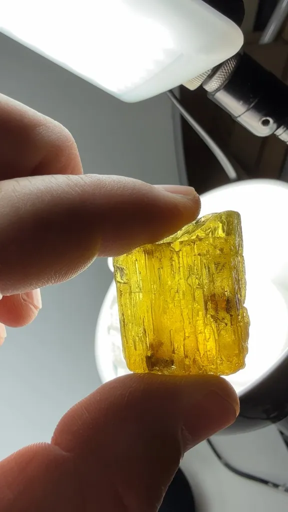 Beryl - image 3