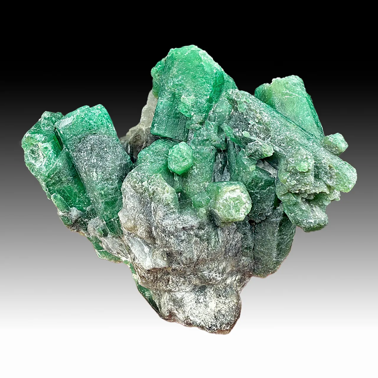 Beryl - image 1
