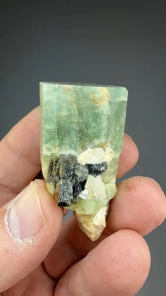 Beryl - image 2
