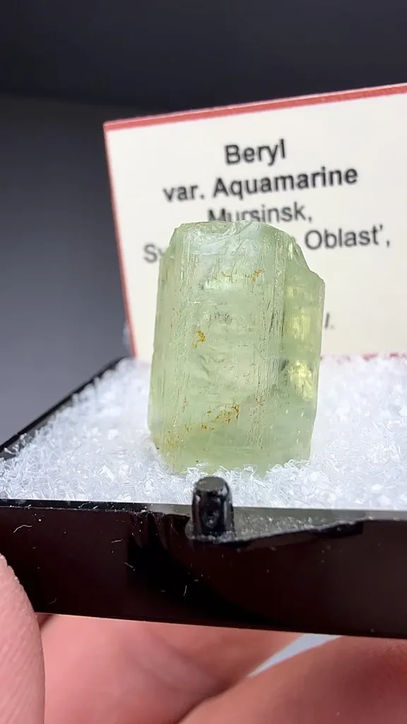 Beryl - image 2