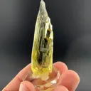 Beryl - image 1