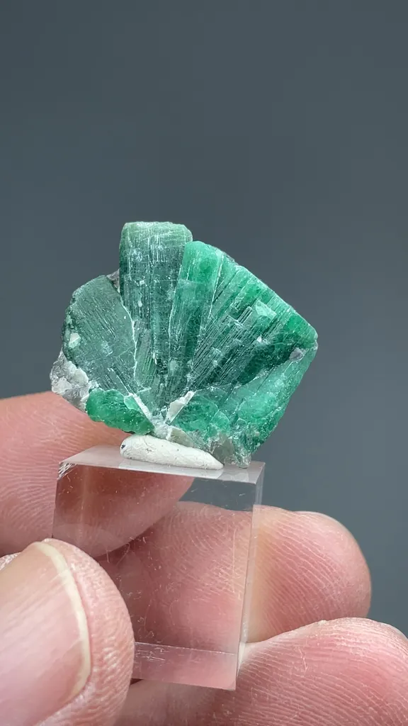 Beryl - image 2