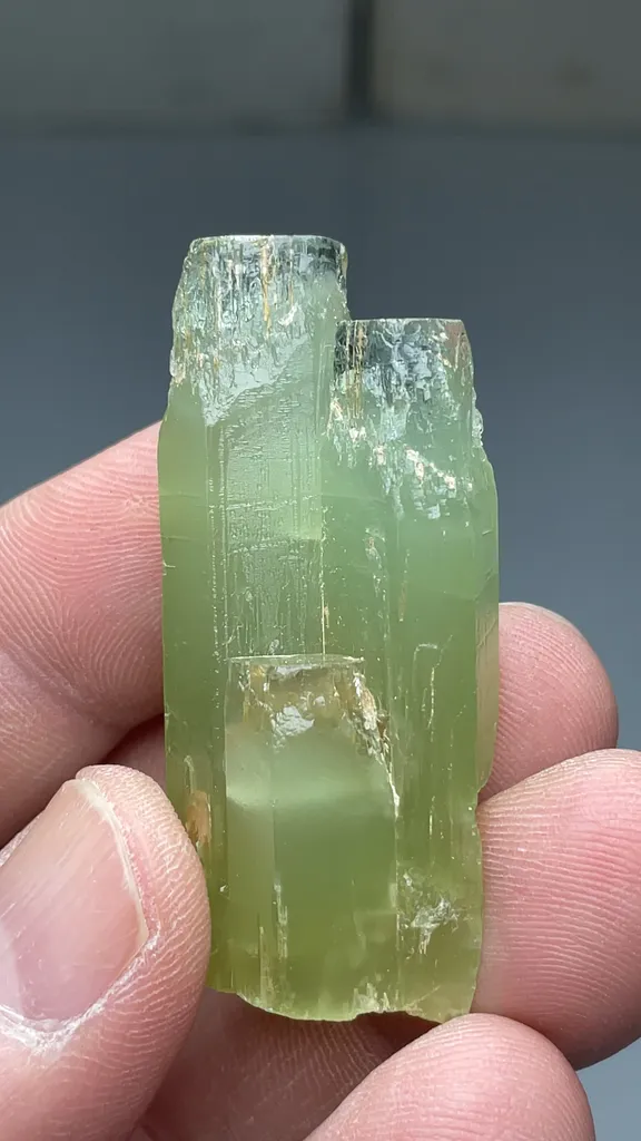 Beryl - image 2