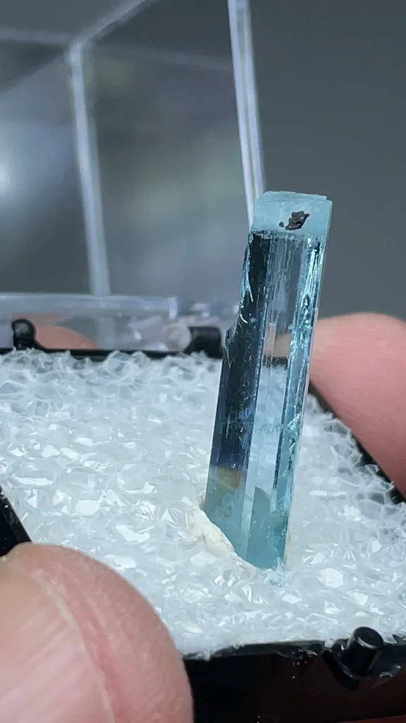 Beryl - image 2