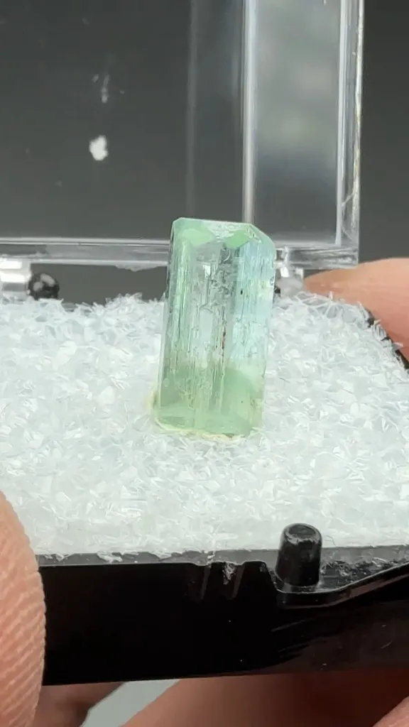 Beryl - image 2