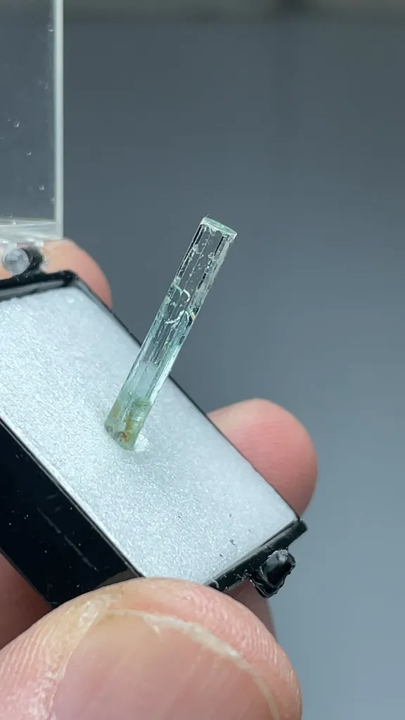Beryl - image 2