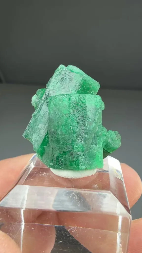 Beryl - image 2