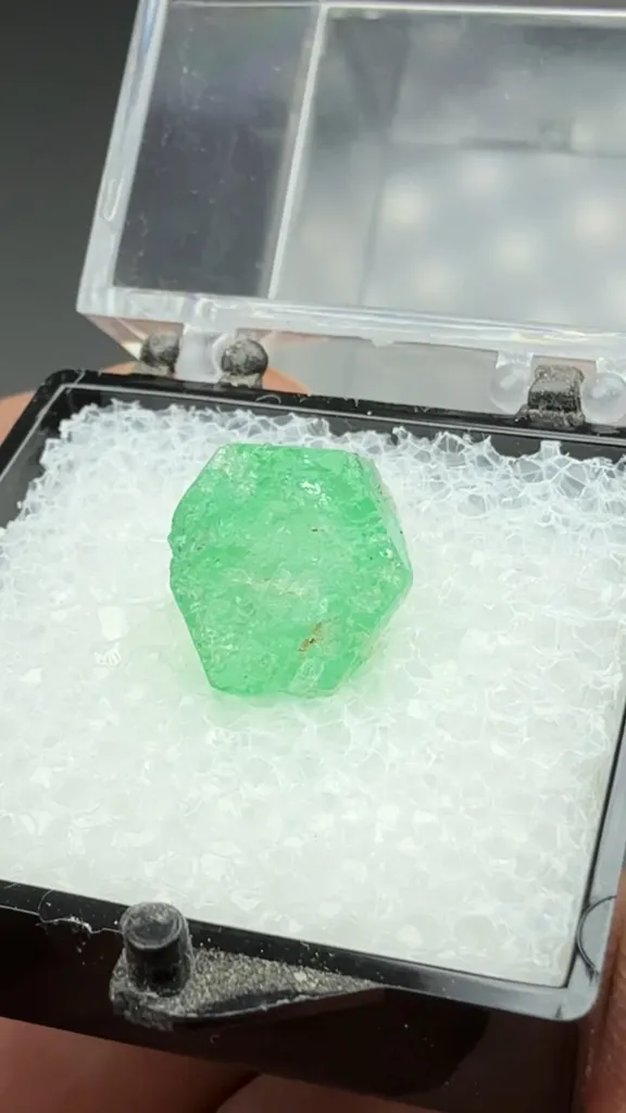 Beryl - image 2