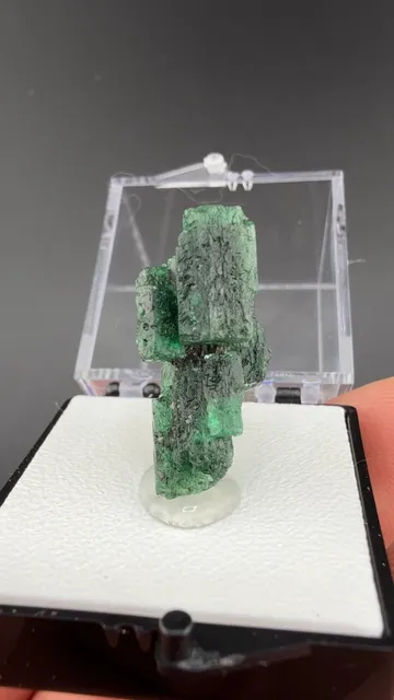 Beryl