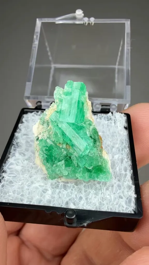 Beryl - image 2
