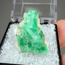 Beryl - image 2