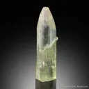 Beryl - image 2