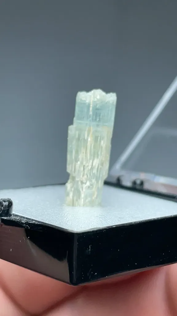 Beryl - image 2