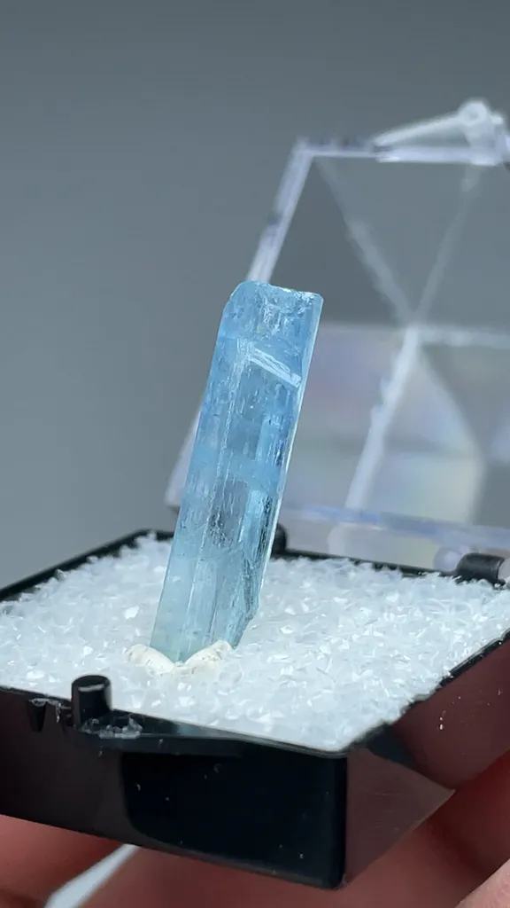 Beryl - image 2