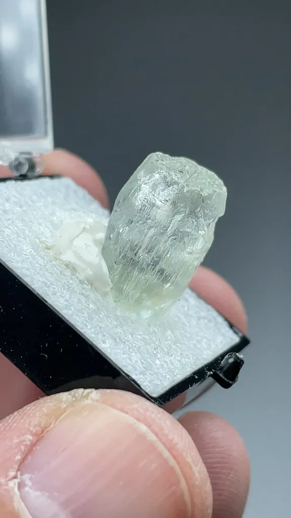 Beryl - image 2