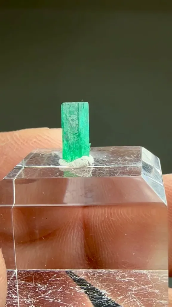 Beryl - image 2