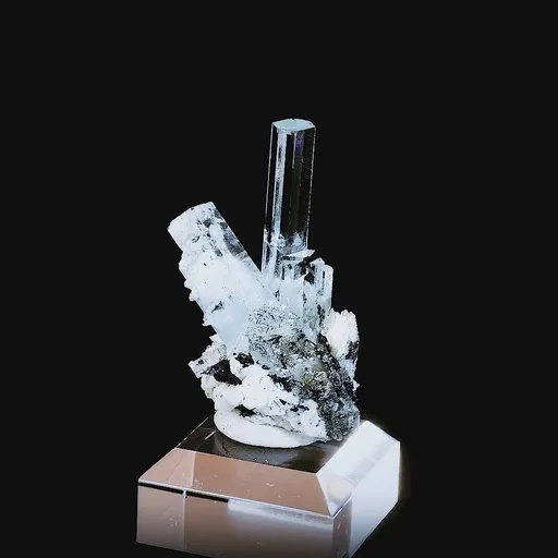 specimen video
