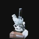specimen video
