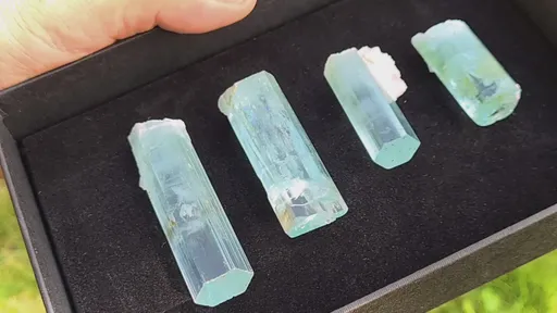 specimen video