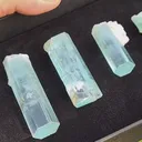 specimen video