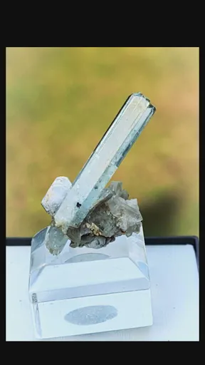 specimen video