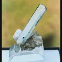 specimen video