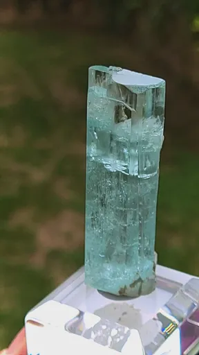 specimen video