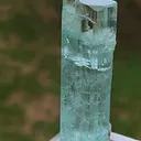 specimen video