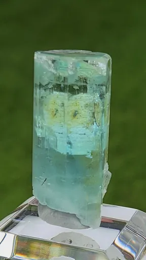 specimen video