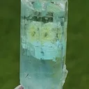 specimen video